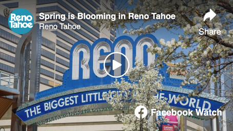Spring is Blooming in Reno Tahoe
